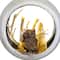 Silver And White Matte Cutout Owl Ball Ornament